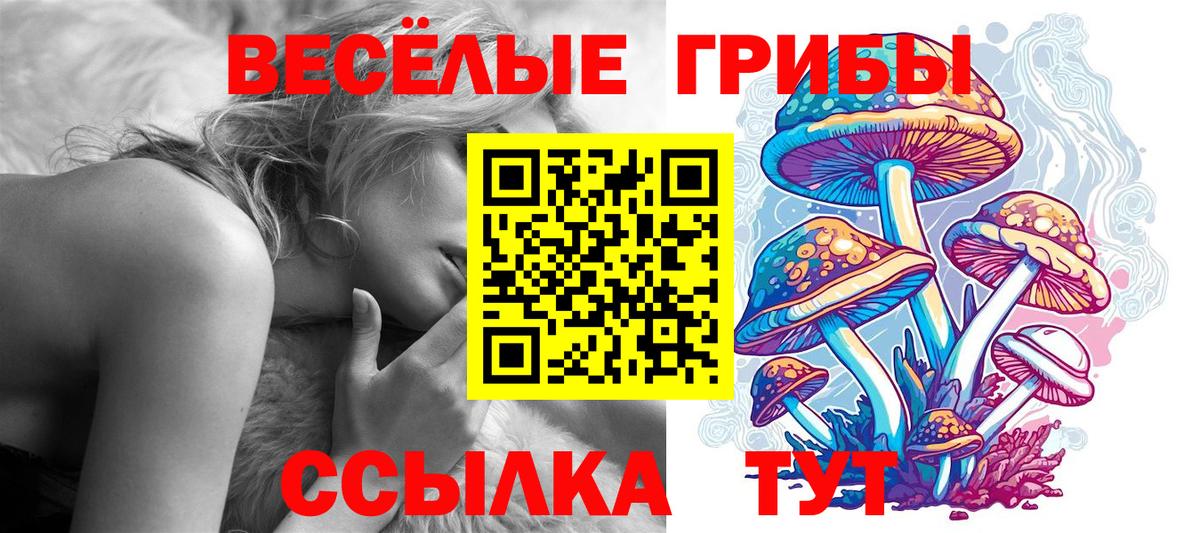 Псилоцибиновые грибы ЛСД  Вход с VPN  Нижний Новгород 